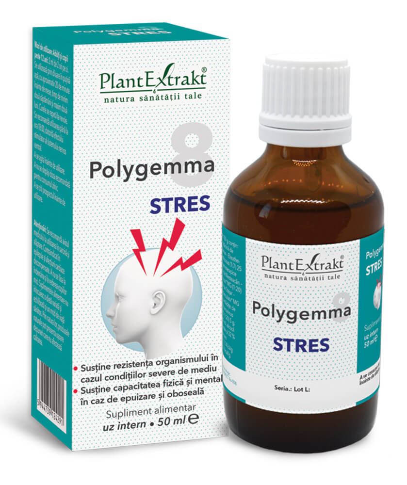 Polygemma 8 - Stres